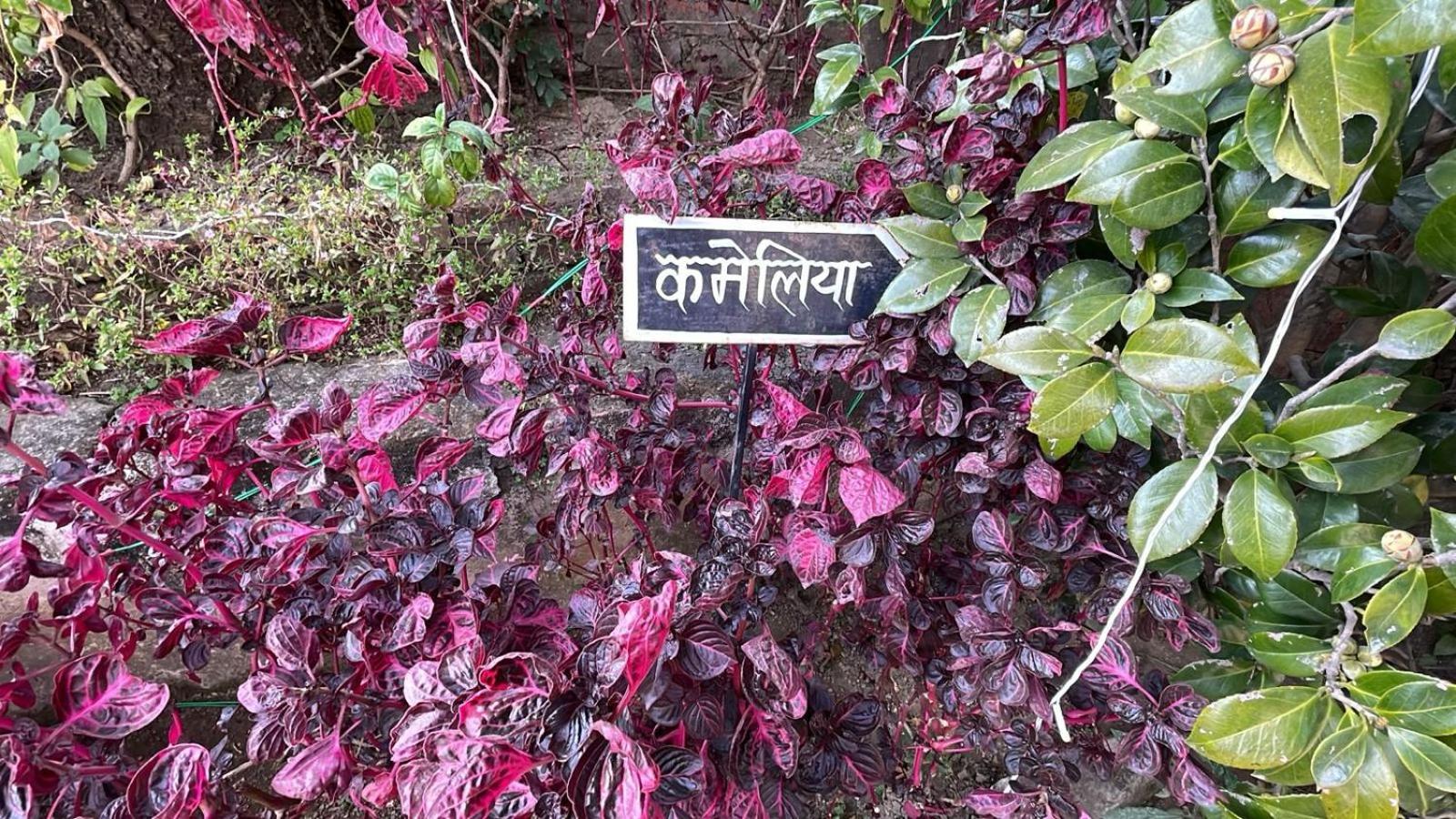 8Fold-Pinecrest By Larisa, Bhimtal Hotel Exterior photo